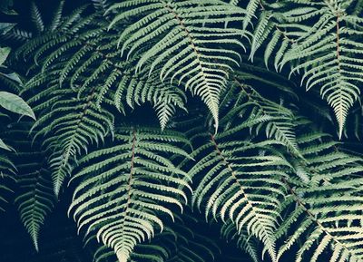 Earth-Friendly Diet Resolutions