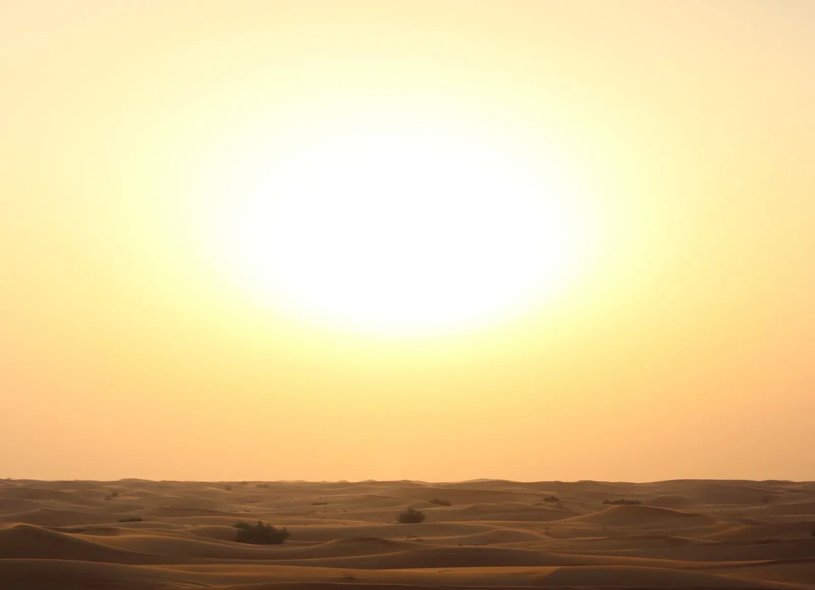 Cellular Health with Vitamin D