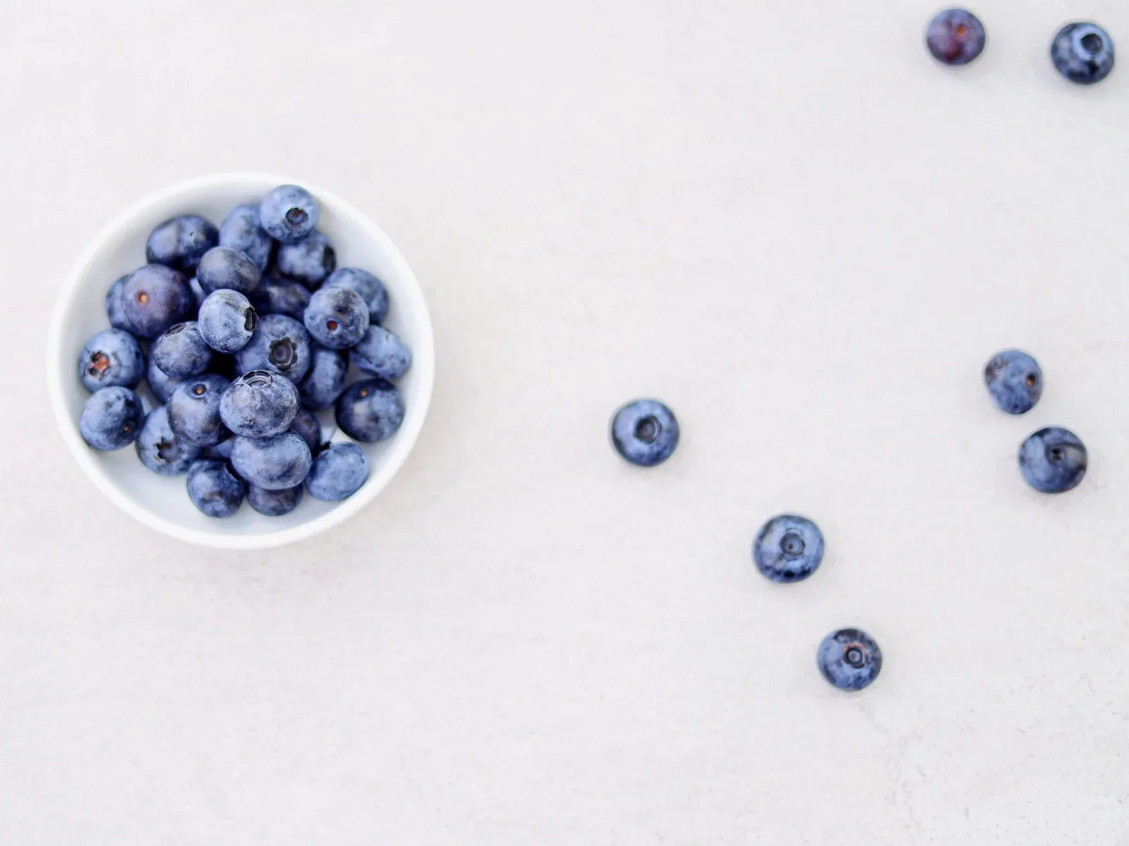 The Power of Wild Blueberries