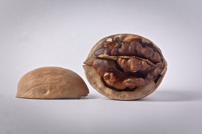 Wild for Walnuts