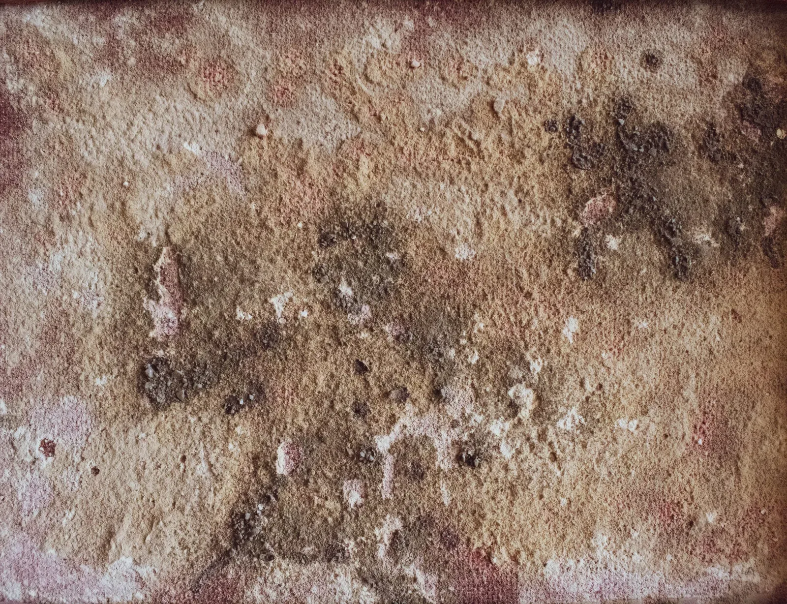 Toxic Mold Syndrome