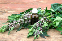 Soothe emotional angst with motherwort (Leonurus cardiaca)