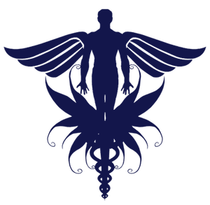 Indigo Health Clinic logo